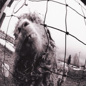 PEARL JAM - vs. Vinyl Edition (Remastered)