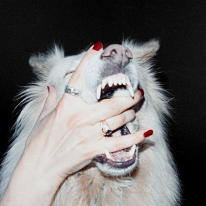 Porch Light - HUSH (1 x LP)