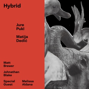 PUKL, JURE & MATIJ... - HYBRID
