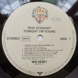Rod Stewart – албум Tonight I'm Yours - Img 3