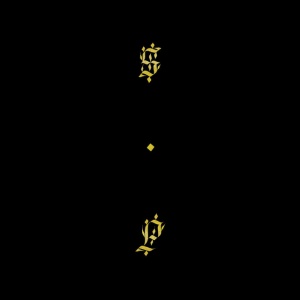 SHABAZZ PALACES - BLACK UP