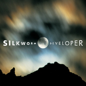 SILKWORM - DEVELOPER