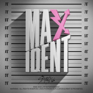 STRAY KIDS - MAXIDENT
