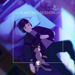 Various Artists - 4 A.M CHILL SESSION (2 x LP)