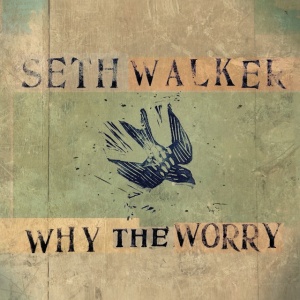 WALKER, SETH - WHY THE WORRY
