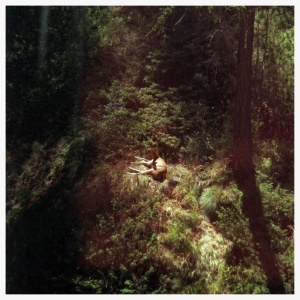 Will Samson - SINGS AGAIN (1 x LP)