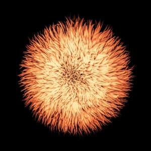 Yom - COSMOGONIA (1 x LP)