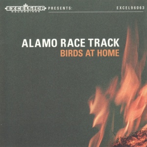 ALAMO RACE TRACK - BIRDS AT HOME