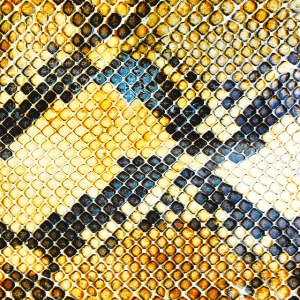 AMAZING SNAKEHEADS - AMPHETAMINE BALLADS