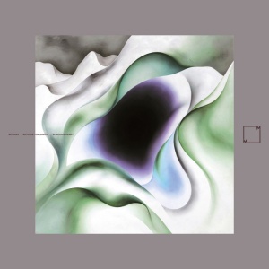 Anthony Calonico - SPACIOUS HEART (2 x LP)