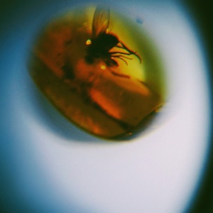 April + VISTA - TRADITIONAL NOISE (1 x LP)