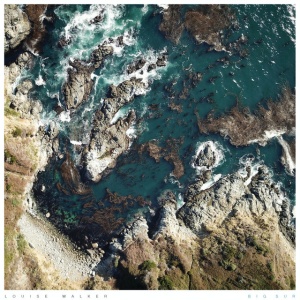 Big Red - BIG SUR (1 x CD)