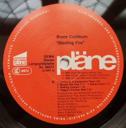 Bruce Cockburn – албум Stealing Fire - Img 3