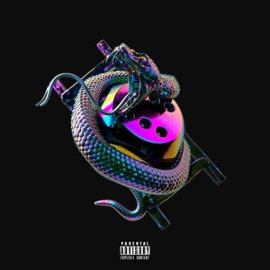 CHIP - SNAKES & LADDERS
