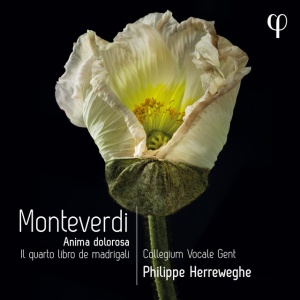 COLLEGIUM VOCALE GENT - MONTEVERDI: IL QUARTO LIBRO DE MADRIGALI