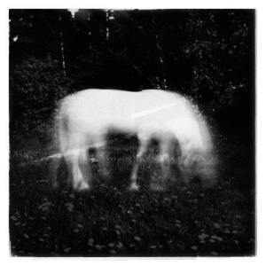 Danielle Nicole - FIREFLIES (1 x LP)