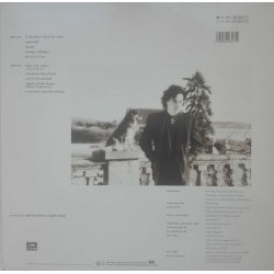 Jules Shear ‎– албум The Eternal Return - Img 2