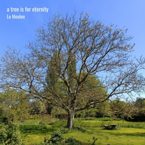 Lo Meulen - A TREE IS FOR ETERNITY (1 x LP)