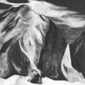 Midori Hirano - THE JUNIPER TREE (1 x LP)