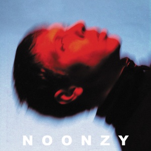 Noonzy - PLAN IS BAD (1 x LP)