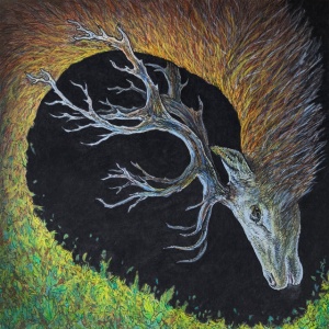 Petrels - INFANGTHIEF (1 x LP)