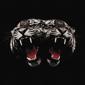 Royal Blood - DEAD COMPANY (1 x LP)