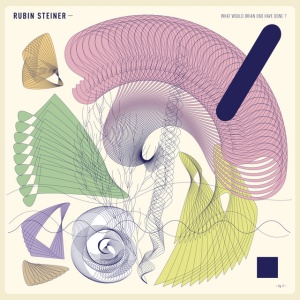 Rubin Steiner - WHAT WOULD BRIAN ENO HAVE DONE (1 x CD)
