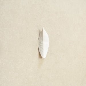 Sylvain Chauveau - COMPLEXITY OF THE SIMPLE (1 x LP)
