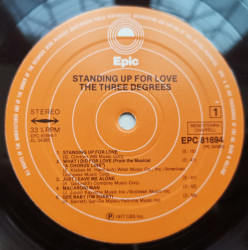 The Three Degrees – албум Standing Up For Love - Img 3