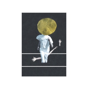 The Vernon Spring - A PLANE OVER WOODS (1 x LP)