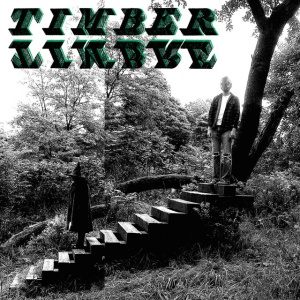 TIMBER TIMBRE - TIMBER TIMBRE