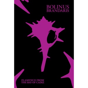 V/A - BOLINUS BRANDARIS: FLAMENCO FROM THE BAY OF CADIZ