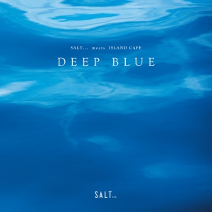 Various Artists - SALT... MEETS ISLAND C... (1 x LP)