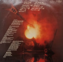 Vic Vergat – албум Down To The Bone - Img 2