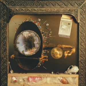 Wishy - NATURE'S PILL (1 x CD)