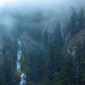 WOLVES IN THE THRONE ROOM - DIADEM OF 12 STARS