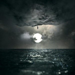 WOODEN VEINS - IN FINITUDE
