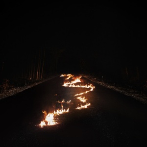 BOB MOSES - BATTLE LINES