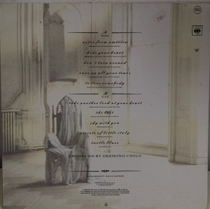 Bonnie Tyler – албум Hide Your Heart - Img 2