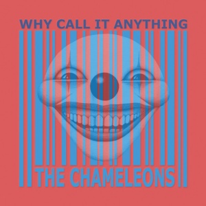 CHAMELEONS - WHY CALL IT ANYTHING