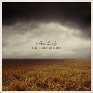 CROWLEY, ADRIAN - I SEE THREE BIRDS FLYING