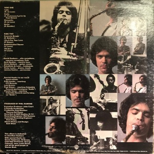 David Sanborn – албум Sanborn - Img 2