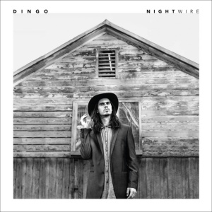 Dingo - NIGHTWIRE (1 x CD)