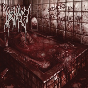 Dissonance - SEDUCED BY SELF-MUTILATION (1 x CD)