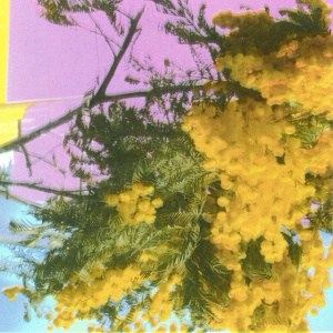 FOUR TET - INTO DUST