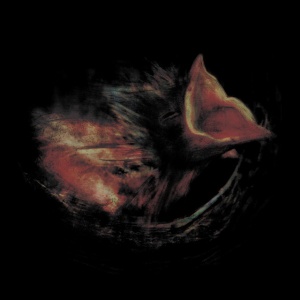 Gurriers - NOBODY'S COMING TO SAVE YOU (1 x CD)