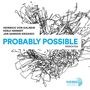 Heinrich Von Kalnein - PROBABLY POSSIBLE (1 x LP)