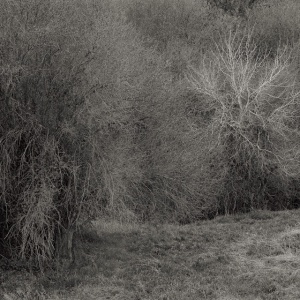 K. Leimer - ATROPHIES FOR PIANO (1 x LP)