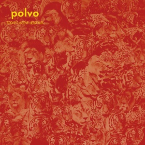 POLVO - TODAY'S ACTIVE LIFESTYLES
