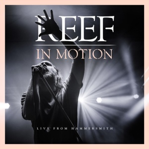 REEF - IN MOTION